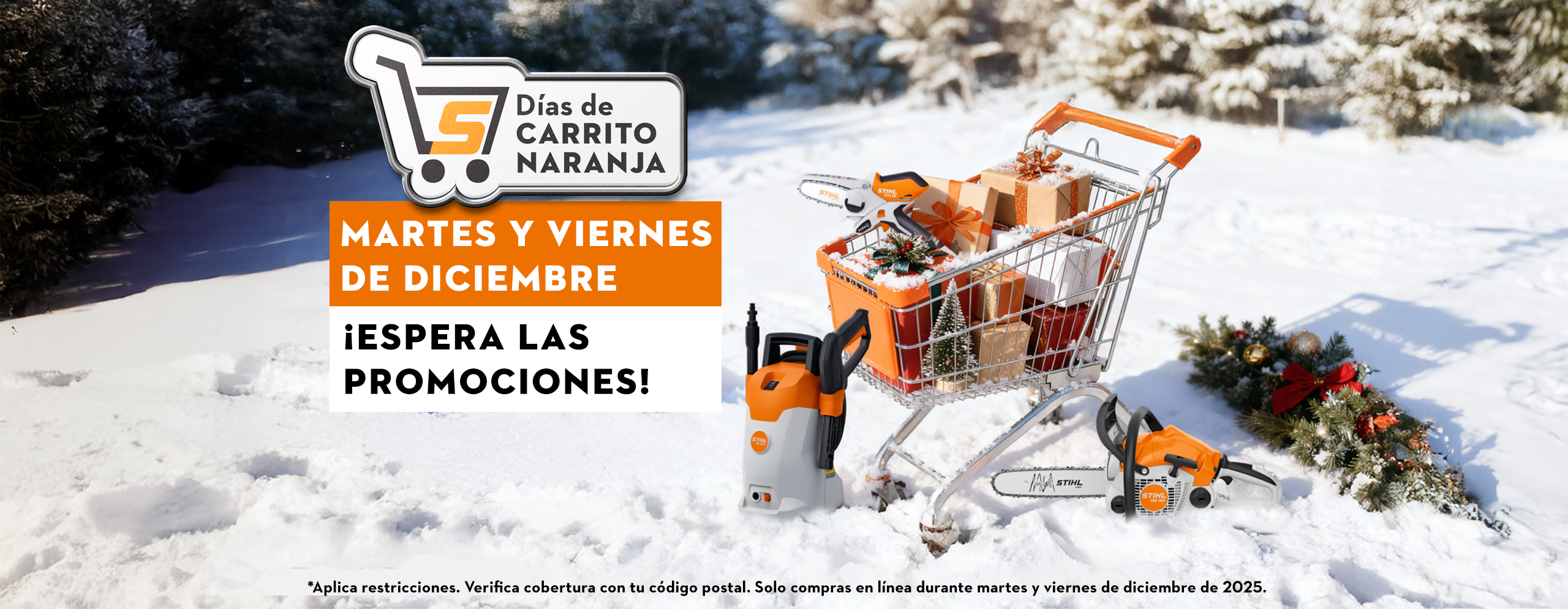 promoción diciembre 2025 tienda online